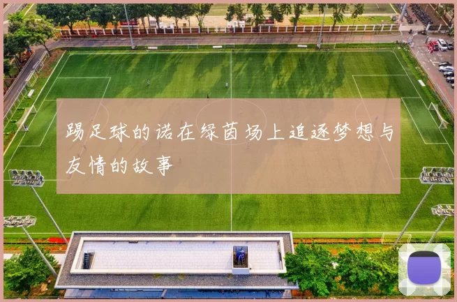 踢足球的诺在绿茵场上追逐梦想与友情的故事