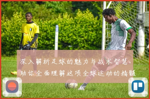 深入解析足球的魅力与战术智慧，助你全面理解这项全球运动的精髓