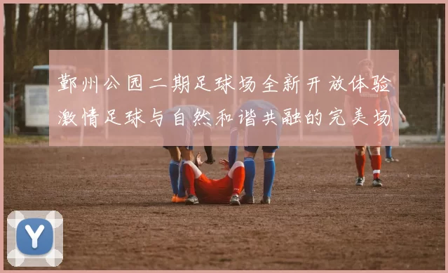 鄞州公园二期足球场全新开放体验激情足球与自然和谐共融的完美场所