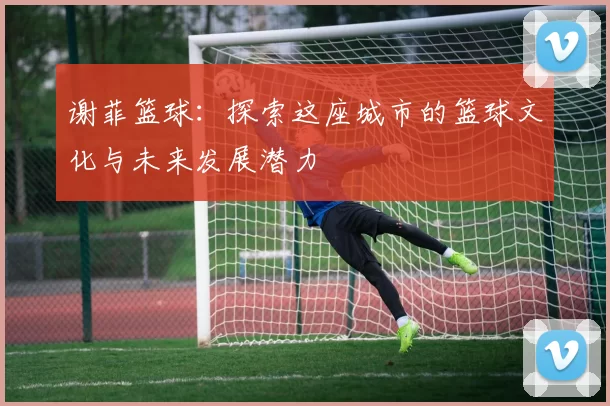 谢菲篮球：探索这座城市的篮球文化与未来发展潜力