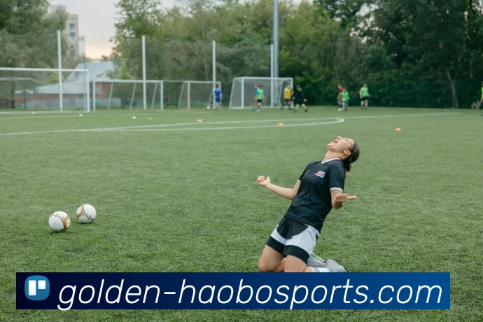 好博体育平台生态图